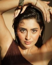 Sultry Actress Rashi Singh in a Brown Off Shoulder Lace Dress Photos 03 Sultry Actress Rashi Singh in a Brown Off Shoulder Lace Dress Photos 03