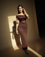 Sultry Actress Rashi Singh in a Brown Off Shoulder Lace Dress Photos 04 Sultry Actress Rashi Singh in a Brown Off Shoulder Lace Dress Photos 04