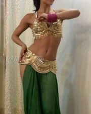 Elli AvrRam 27 Swedish Bollywood Actress Elli Avrram Photos
