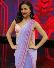 Elli AvrRam 1 Swedish Bollywood Actress Elli Avrram Photos