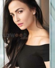 Elli AvrRam 53 Swedish Bollywood Actress Elli Avrram Photos