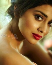 Tamil Actress Shriya Saran Sexy Stills