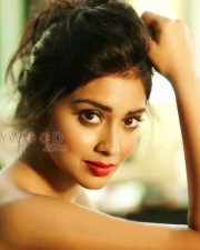 Tamil Actress Shriya Saran Sexy Stills