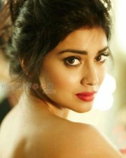 Tamil Actress Shriya Saran Sexy Stills