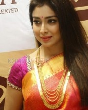 Tamil Actress Shriya Saran Stills