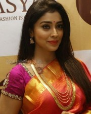 Tamil Actress Shriya Saran Stills