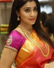 Tamil Actress Shriya Saran Stills