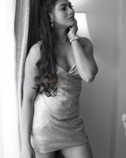 Tamil Actress Shruti Reddy Latest Photoshoot Pictures 29