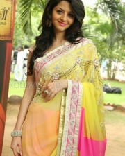 Vedhika 12 Tamil Actress Vedhika Saree Pics