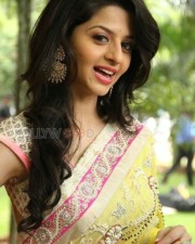 Vedhika 10 Tamil Actress Vedhika Saree Pics