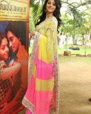 Vedhika 3 Tamil Actress Vedhika Saree Pics