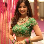 Kashmira Pardeshi 9 Telugu Actress Kashmira Pardeshi On The Sets Of Nartanasala Movie Photos