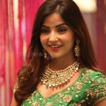 Kashmira Pardeshi 8 Telugu Actress Kashmira Pardeshi On The Sets Of Nartanasala Movie Photos