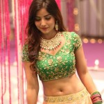 Kashmira Pardeshi 6 Telugu Actress Kashmira Pardeshi On The Sets Of Nartanasala Movie Photos