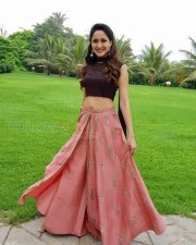 Pragya Jaiswal 24 Telugu Film Actress Pragya Jaiswal Pictures