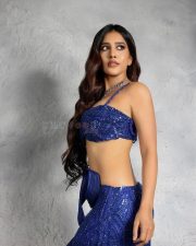Telugu Heroine Nabha Natesh in a Royal Blue Two Piece Sequinned Strapless Crop Top with an Embellished Sequined Skirt Pictures 10