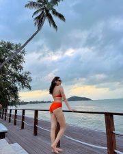 Tempting Hot Pragya Jaiswal in an Orange One Piece Swimsuit Bikini Photos 01