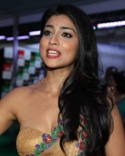Tempting Shriya Saran Photo 01