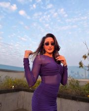 Tempting Tyson Naidu Heroine Pragya Jaiswal in a Purple Mesh Bodycon Dress with a Bustier Bodice and Mini Skirt Pictures 02