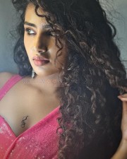 Tillu Square Heroine Anupama Parameswaran Hot Pink Saree Pictures 05