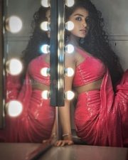 Tillu Square Heroine Anupama Parameswaran Hot Pink Saree Pictures 07