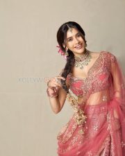 Timeless Actress Nabha Natesh in a Pink Embroidered Bridal Lehenga Photos 04