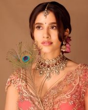 Timeless Actress Nabha Natesh in a Pink Embroidered Bridal Lehenga Photos 06