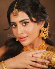 Timeless Actress Raashi Singh in a Dark Saree with Gold Bridal Jewelry Photos 01