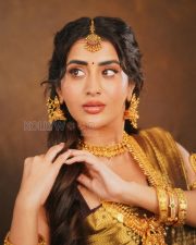 Timeless Actress Raashi Singh in a Dark Saree with Gold Bridal Jewelry Photos 02