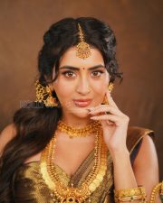 Timeless Actress Raashi Singh in a Dark Saree with Gold Bridal Jewelry Photos 03