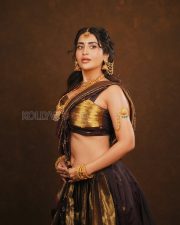 Timeless Actress Raashi Singh in a Dark Saree with Gold Bridal Jewelry Photos 04