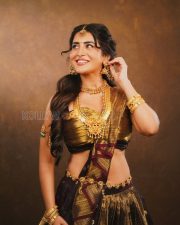 Timeless Actress Raashi Singh in a Dark Saree with Gold Bridal Jewelry Photos 05