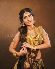 Timeless Actress Raashi Singh in a Dark Saree with Gold Bridal Jewelry Photos 06