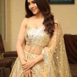 Tollywood Actress Nabha Natesh at Maestro Movie Pre Release Event Photos 01 Tollywood Actress Nabha Natesh at Maestro Movie Pre Release Event Photos 01