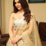 Tollywood Actress Nabha Natesh at Maestro Movie Pre Release Event Photos 03 Tollywood Actress Nabha Natesh at Maestro Movie Pre Release Event Photos 03