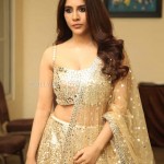 Tollywood Actress Nabha Natesh at Maestro Movie Pre Release Event Photos 05 Tollywood Actress Nabha Natesh at Maestro Movie Pre Release Event Photos 05
