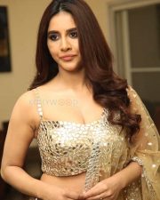 Tollywood Actress Nabha Natesh at Maestro Movie Pre Release Event Photos 13