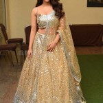 Tollywood Actress Nabha Natesh at Maestro Movie Pre Release Event Photos 16 Tollywood Actress Nabha Natesh at Maestro Movie Pre Release Event Photos 16