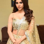 Tollywood Actress Nabha Natesh at Maestro Movie Pre Release Event Photos 23 Tollywood Actress Nabha Natesh at Maestro Movie Pre Release Event Photos 23