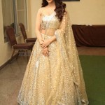 Tollywood Actress Nabha Natesh at Maestro Movie Pre Release Event Photos 27 Tollywood Actress Nabha Natesh at Maestro Movie Pre Release Event Photos 27