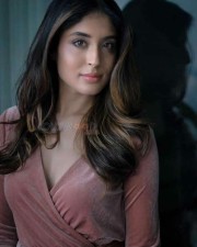 Tv Actress Kritika Kamra Photos