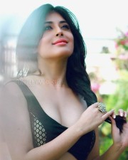 Tv Actress Kritika Kamra Pictures