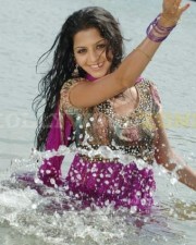 Vedhika 51