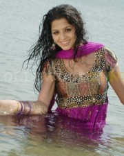 Vedhika 48 Vedhika Actress Stills