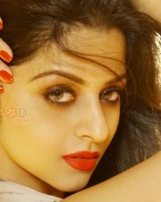 Vinodhan Movie Heroine Vedhika Sexy Photoshoot Stills
