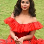 Avika Gor 42
