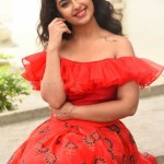 Avika Gor 16