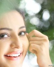 Actress Bhamaa Sexy Photos