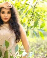 Actress Bhamaa Sexy Photos