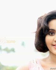 Actress Bhamaa Sexy Photos